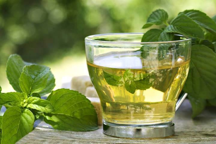 Conoce los beneficios del té verde para la salud y la pérdida de peso