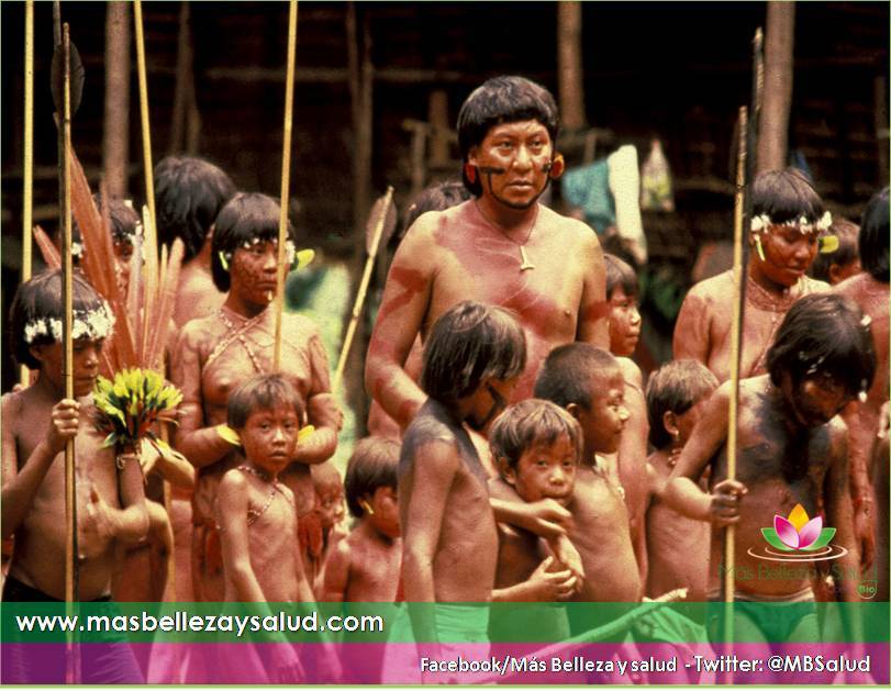 Microbioma de los Yanomami es el más grande y diverso del mundo