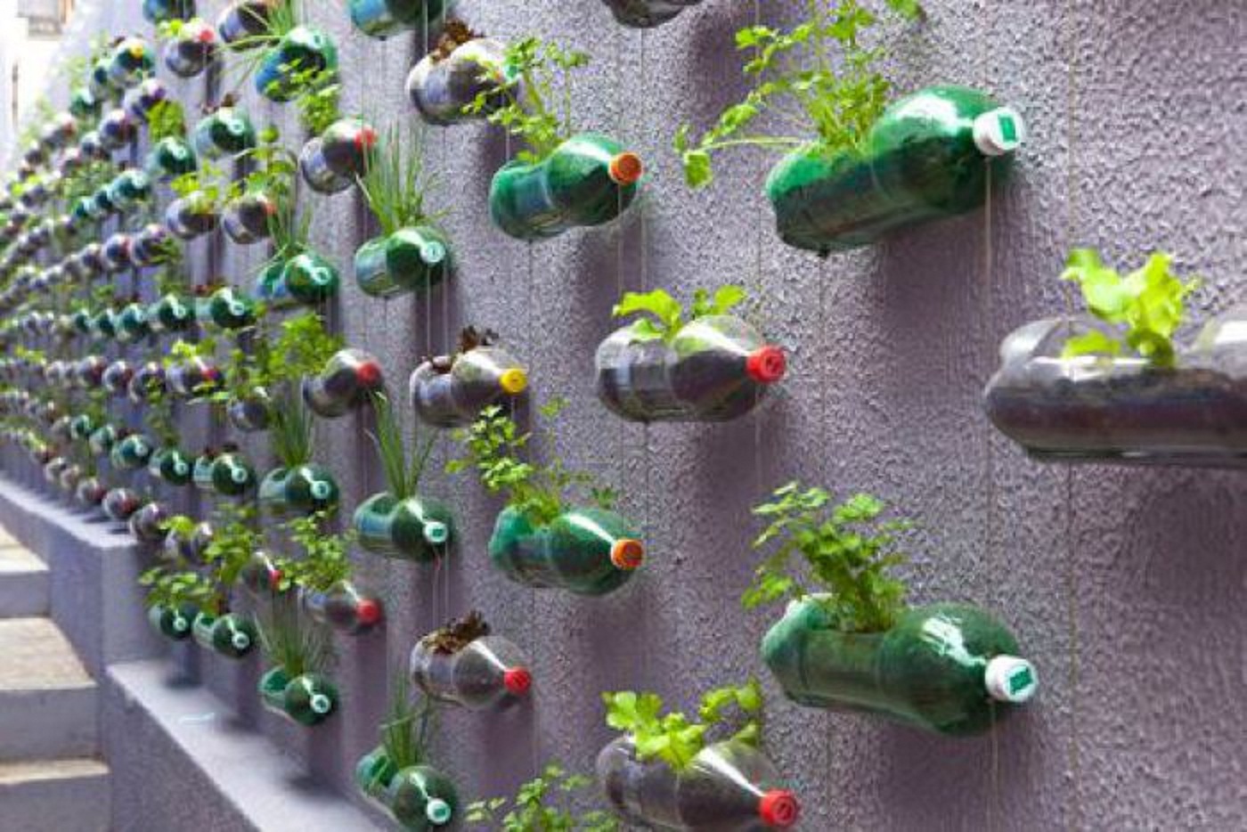 Haz tu granja vertical con botellas de plástico